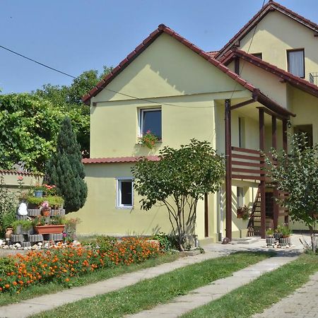 Vila Bel Ami Ξενοδοχείο Şelimbăr Δωμάτιο φωτογραφία