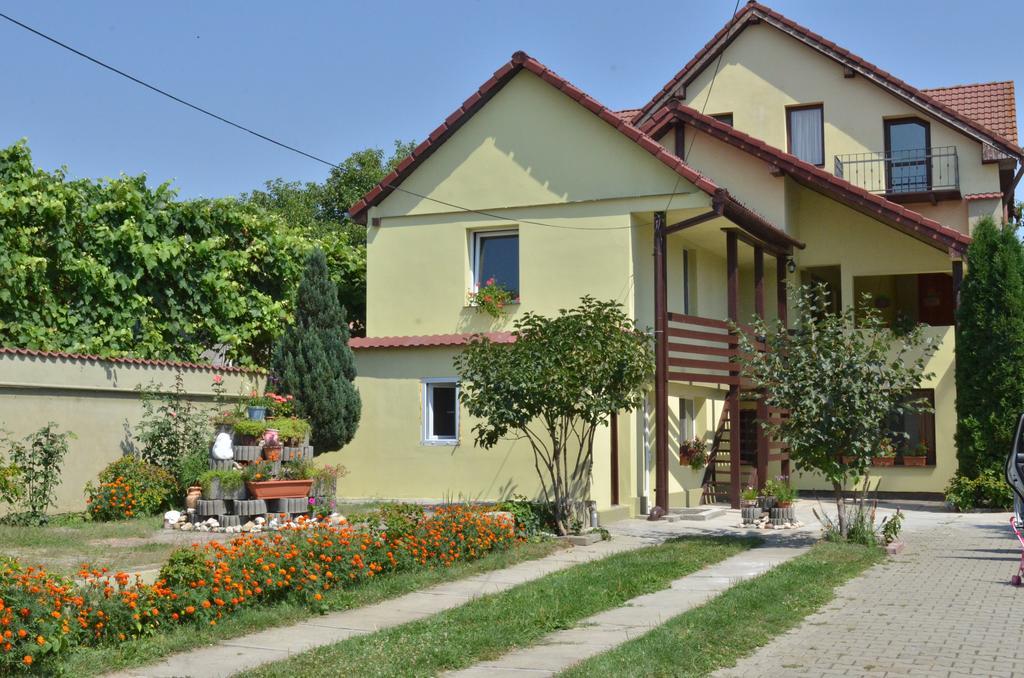 Vila Bel Ami Ξενοδοχείο Şelimbăr Δωμάτιο φωτογραφία