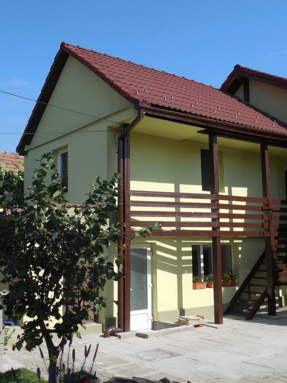 Vila Bel Ami Ξενοδοχείο Şelimbăr Δωμάτιο φωτογραφία