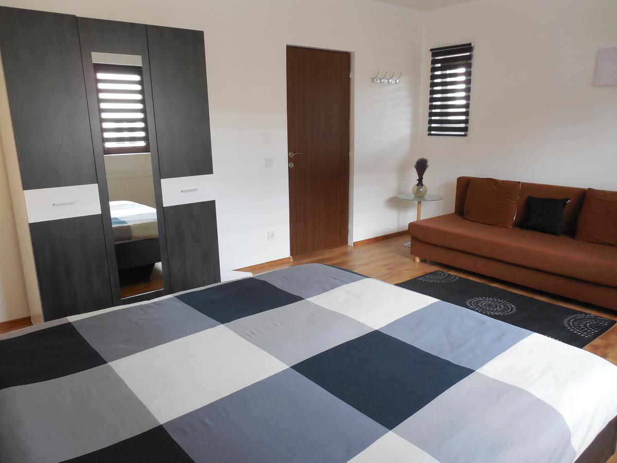 Vila Bel Ami Ξενοδοχείο Şelimbăr Εξωτερικό φωτογραφία