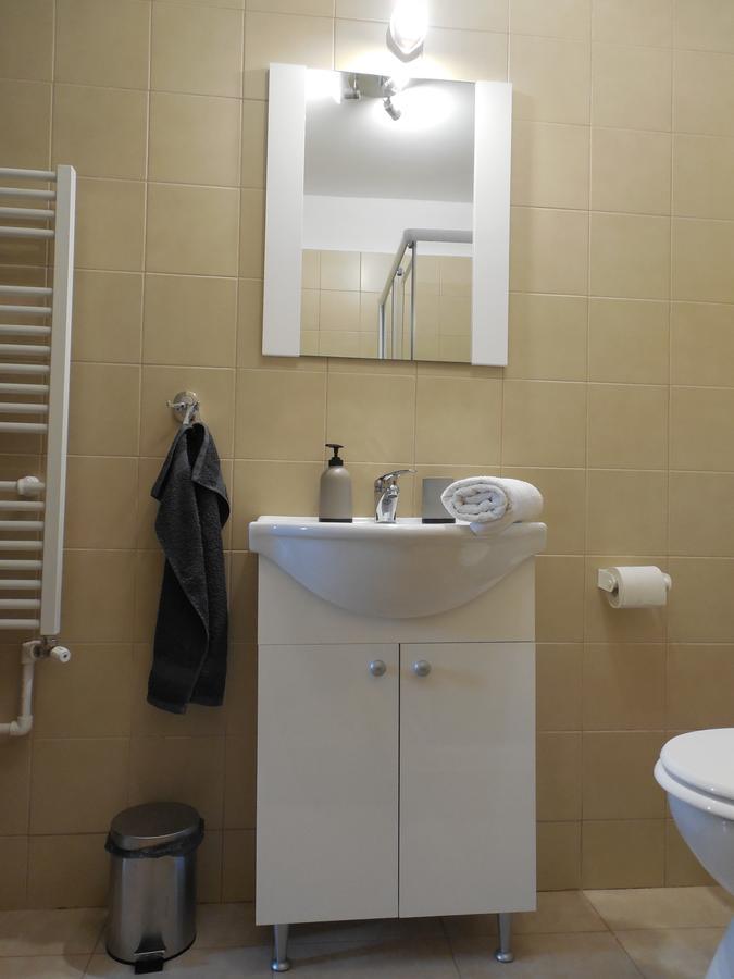 Vila Bel Ami Ξενοδοχείο Şelimbăr Εξωτερικό φωτογραφία